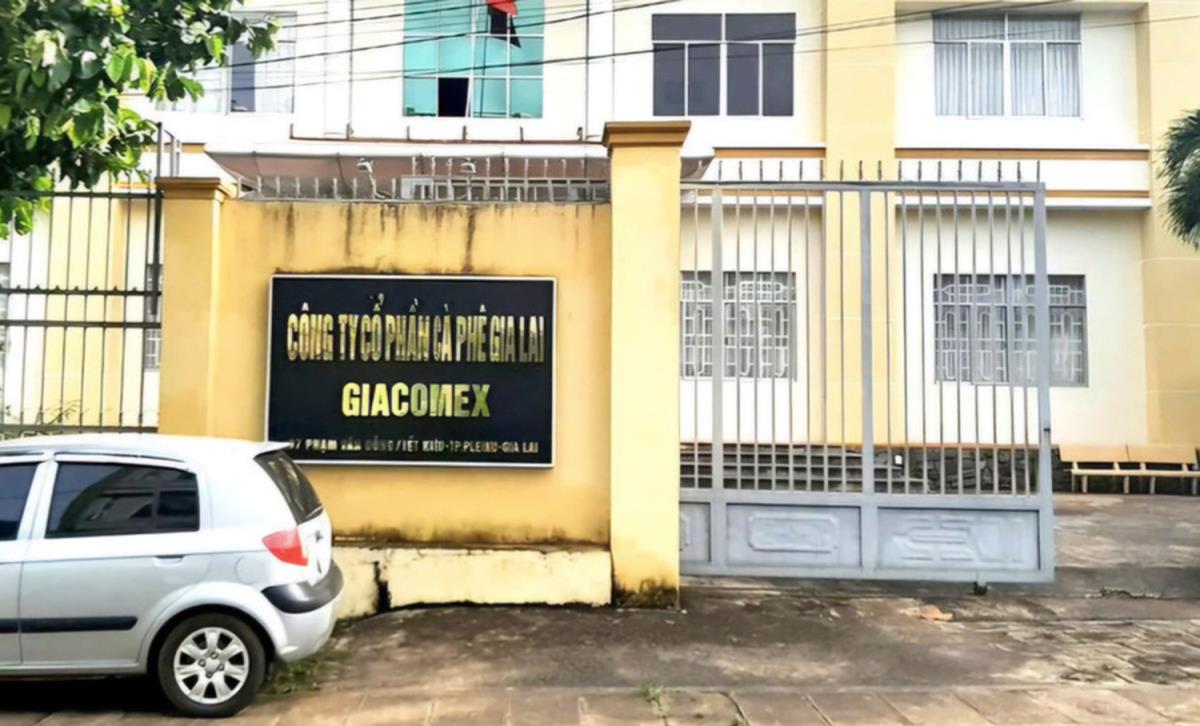 Đề nghị chuyển cơ quan Công an điều tra vụ thất thoát hơn 26 tỷ đồng khi cổ phần hóa Công ty cà-phê Gia Lai
