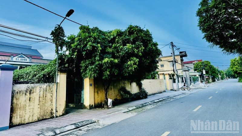 Phân khúc đất nền tăng trưởng ổn định